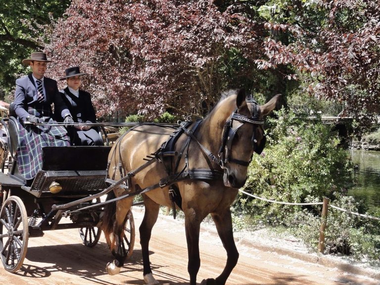 Villa for Sale in Caldas Da Rainha, Leiria, Portugal 18