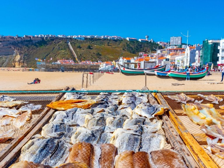 Villa for Sale in Nazaré, Leiria, Portugal 11