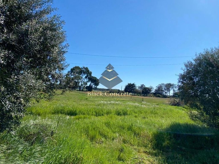 Plot for Sale in Grândola, Setúbal 6
