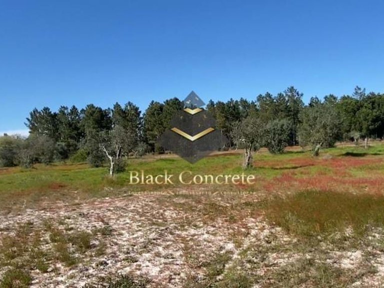 Plot for Sale in Grândola, Setúbal 10