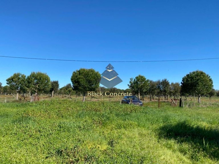 Plot for Sale in Grândola, Setúbal 7
