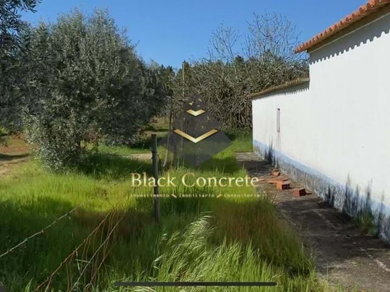Plot for Sale in Grândola, Setúbal 14