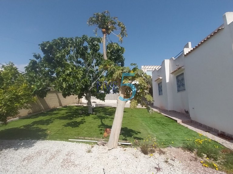 Penthouse for Sale in Alicante, Valencia 22