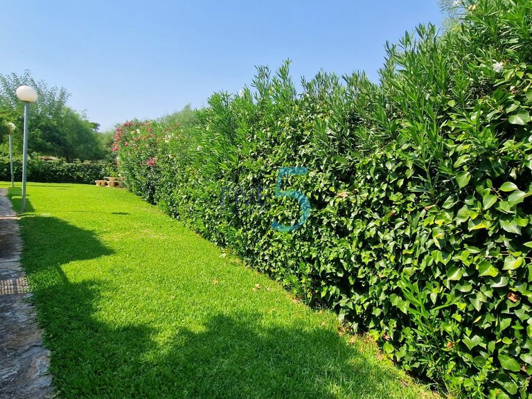 Villa for Sale in Alicante, Valencia 39