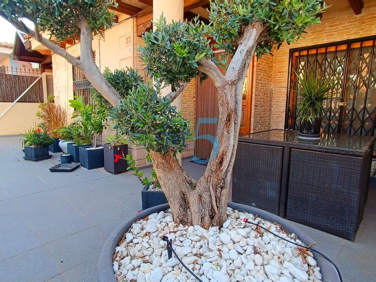 Penthouse for Sale in Alicante, Valencia 8