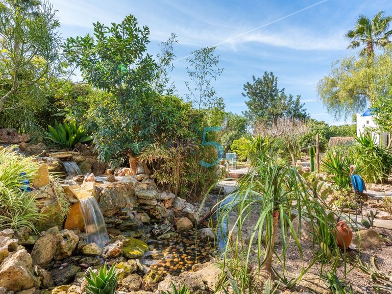 Villa for Sale in Alicante, Valencia 14