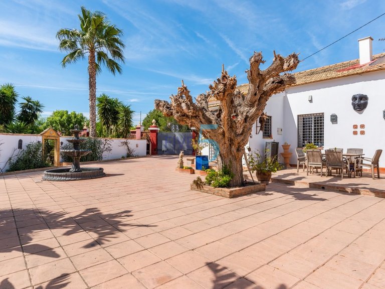 Villa for Sale in Alicante, Valencia 7