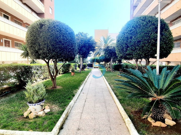 Apartment for Sale in Alicante, Valencia 20
