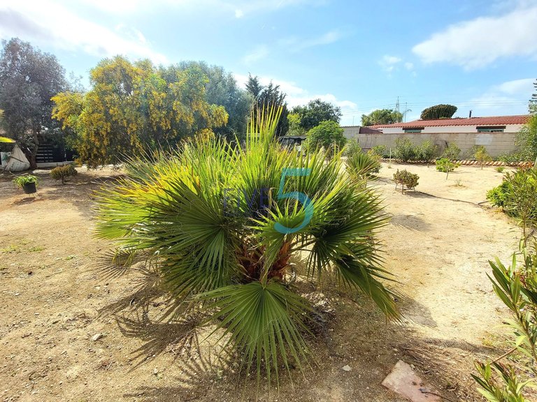 Villa for Sale in Alicante, Valencia 29