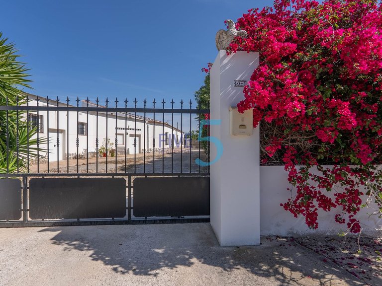 Villa for Sale in Alicante, Valencia 4