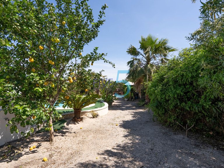 Villa for Sale in Alicante, Valencia 2