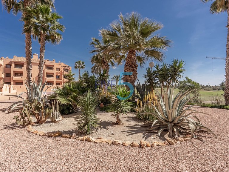 Apartment for Sale in Murcia, Murcia 27