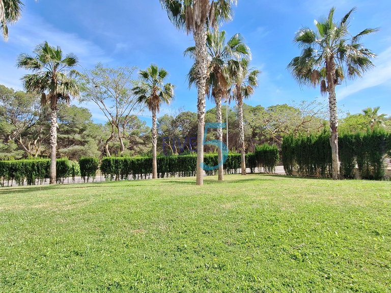 Apartment for Sale in Alicante, Valencia 26