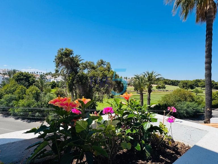 Apartment for Sale in Alicante, Valencia 19