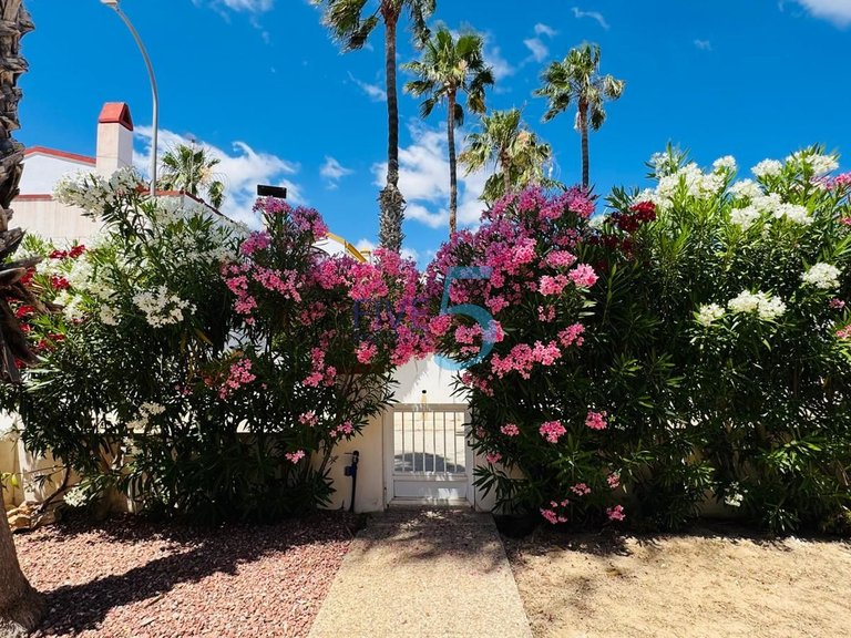 Villa for Sale in Alicante, Valencia 34