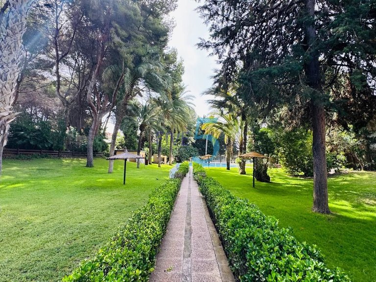 Villa for Sale in Alicante, Valencia 34