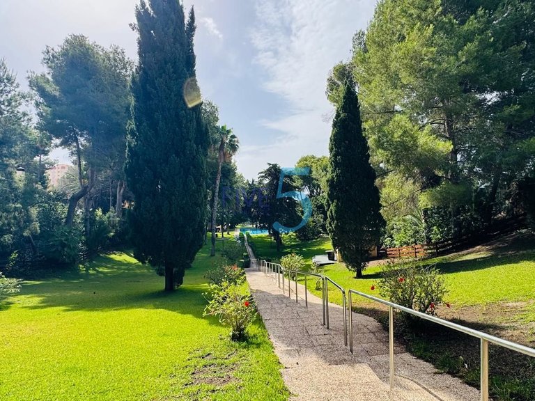 Villa for Sale in Alicante, Valencia 33