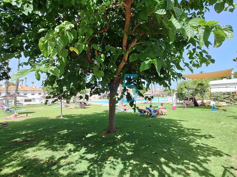 Apartment for Sale in Alicante, Valencia 26
