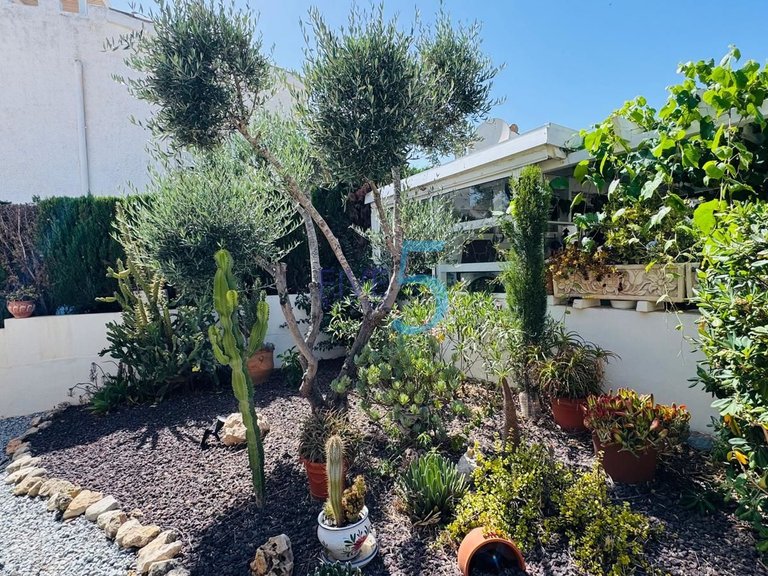 Villa for Sale in Alicante, Valencia 31