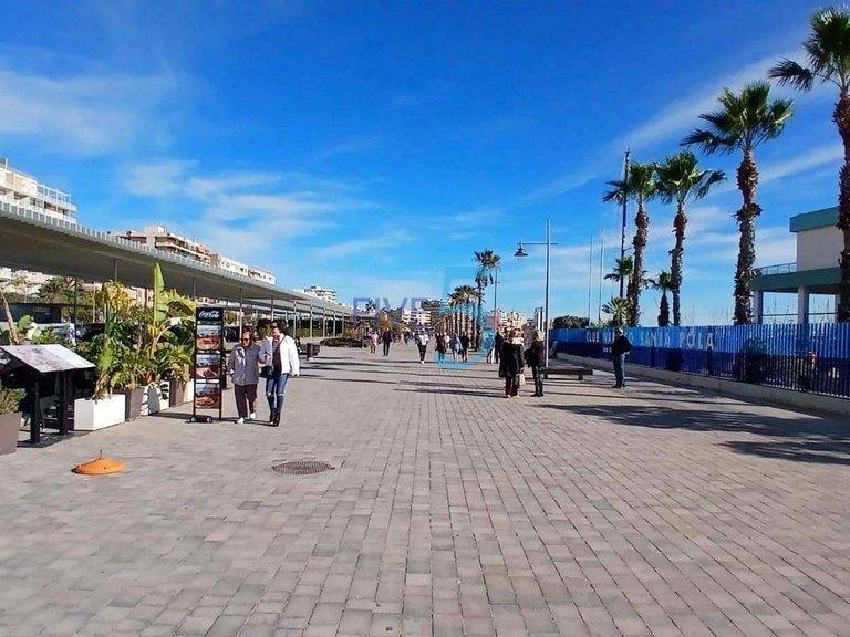 Apartment for Sale in Alicante, Valencia 22