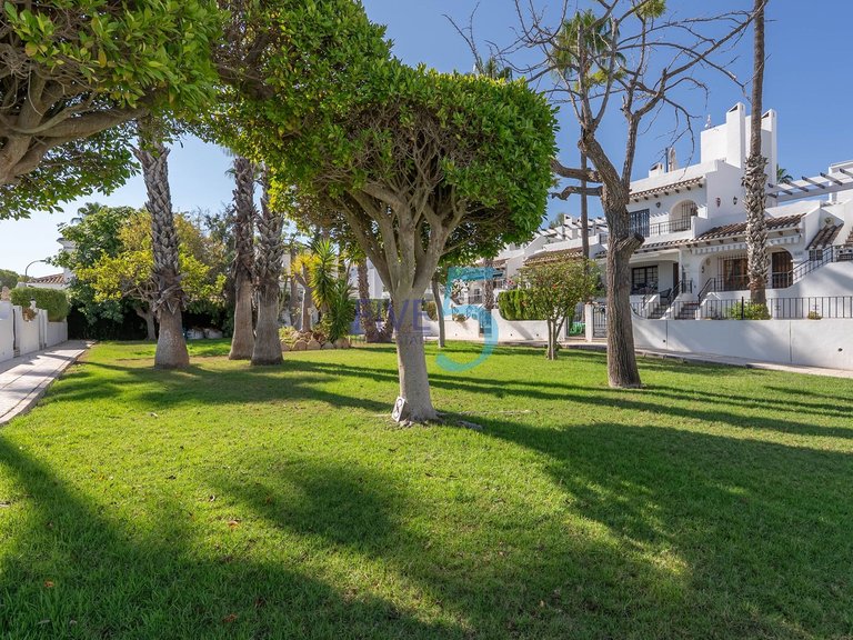 Villa for Sale in Alicante, Valencia 4