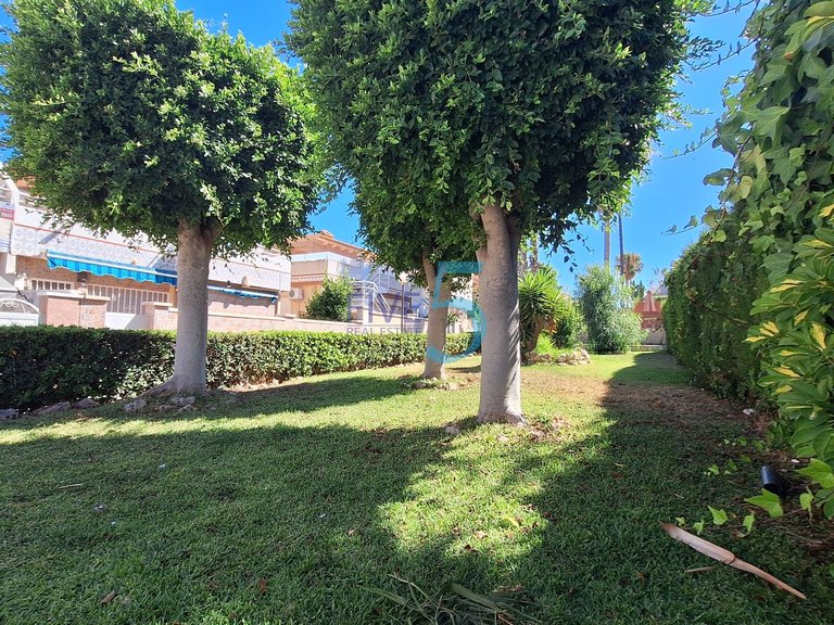 Villa for Sale in Alicante, Valencia 35
