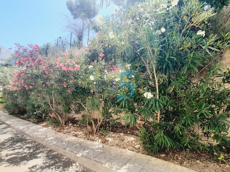 Apartment for Sale in Alicante, Valencia 21