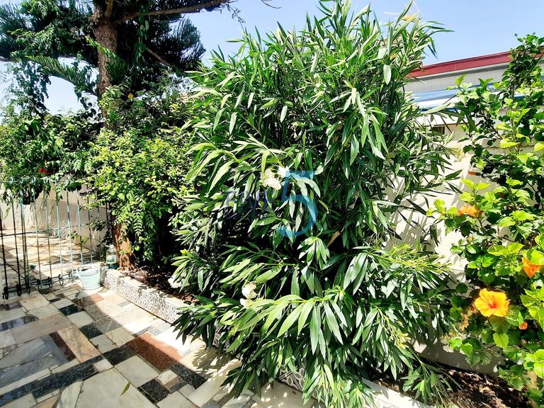 Penthouse for Sale in Murcia, Murcia 31