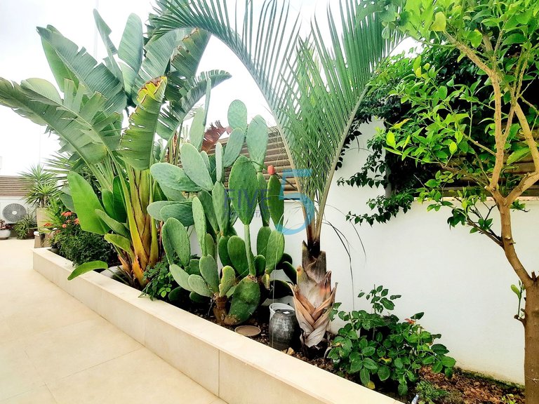 Apartment for Sale in Murcia, Murcia 11