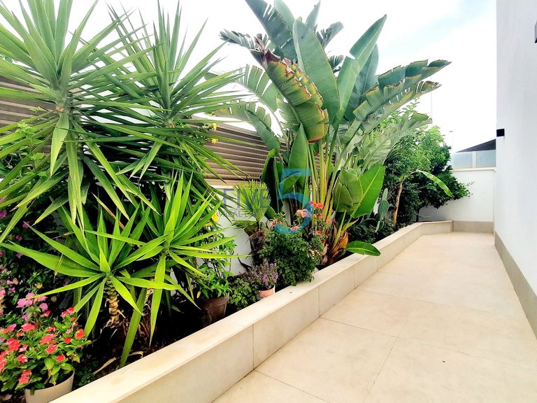Apartment for Sale in Murcia, Murcia 10