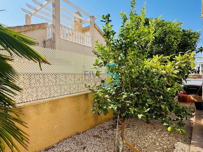 Villa for Sale in Alicante, Valencia 25