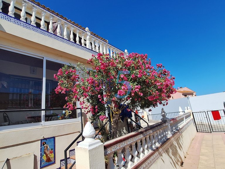 Villa for Sale in Alicante, Valencia 2