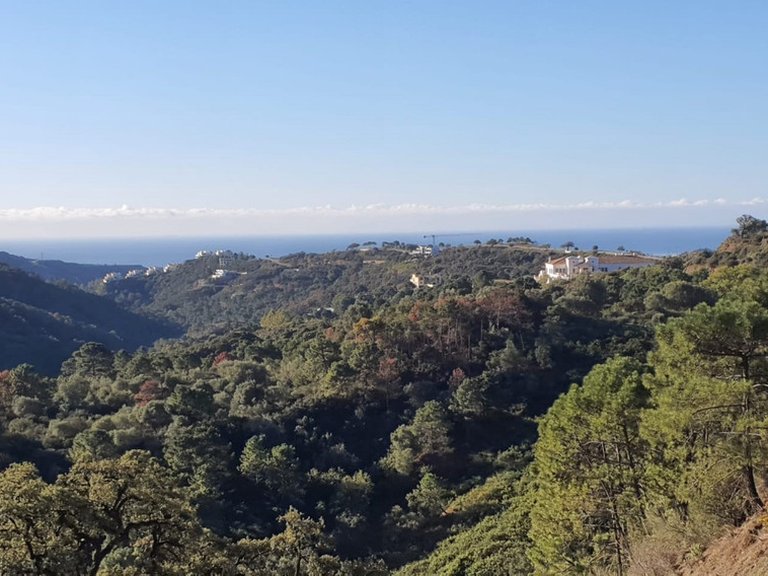New Development House for Sale in Benahavís Málaga 6