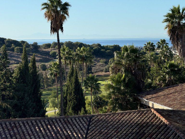 Apartment for Sale in Benahavís, Malaga, Spain 4