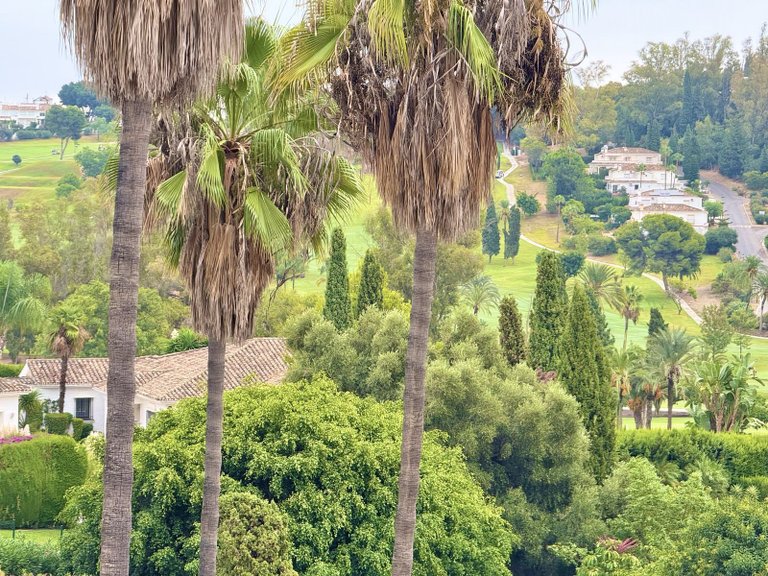 Apartment for Sale in Benahavís, Malaga, Spain 12