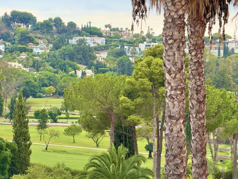 Apartment for Sale in Benahavís, Malaga, Spain 11