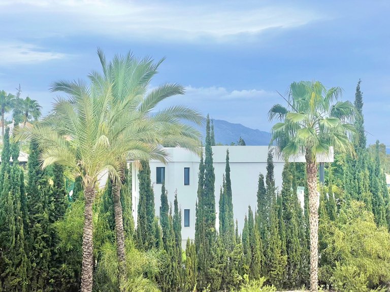 Apartment for Sale in Benahavís, Malaga, Spain 3
