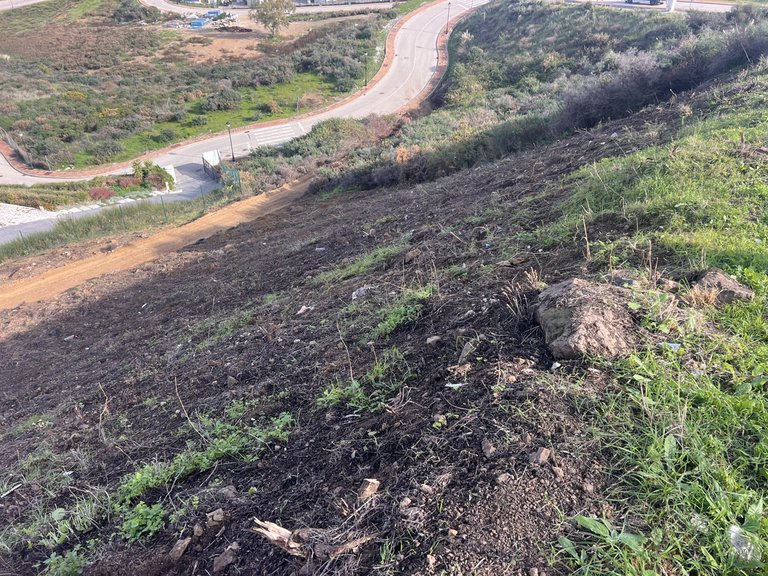 New Development House for Sale in La Cala Golf Málaga 13