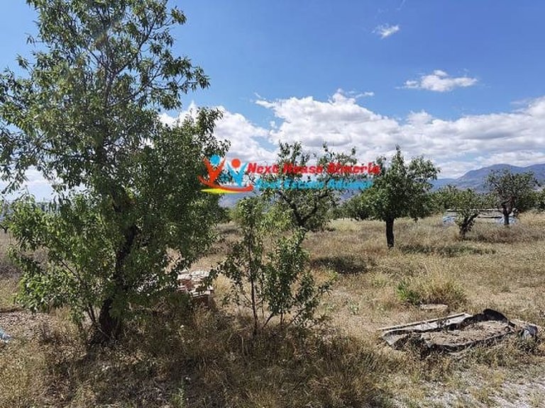 Country House for Sale in Lúcar, Almeria 90