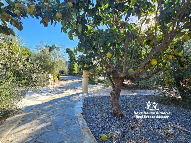 Villa for Sale in Chercos, Almeria 13
