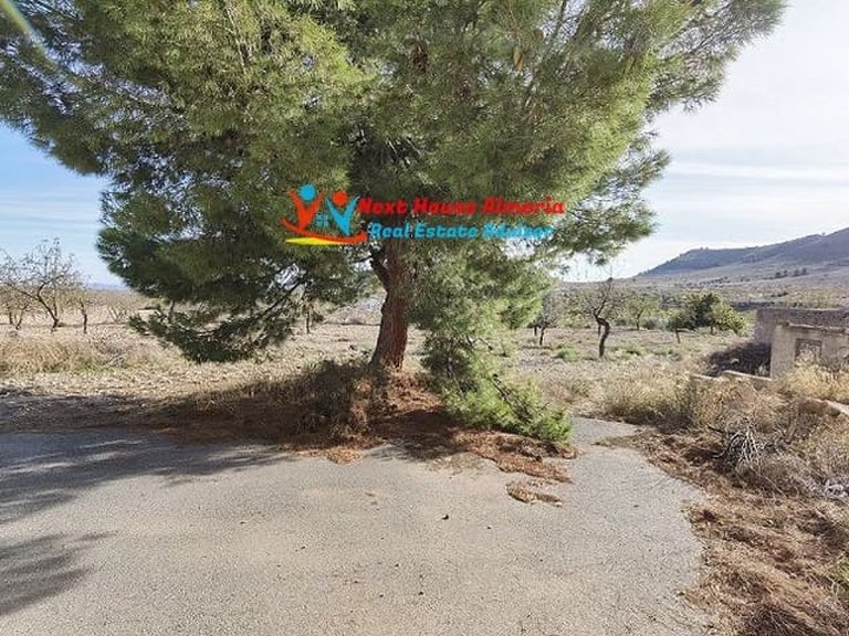 Country House for Sale in Oria, Almeria 43
