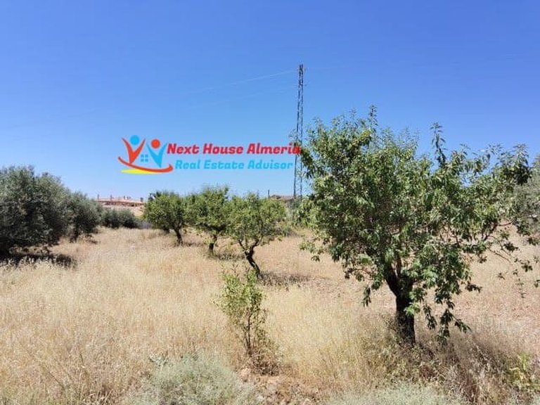 Plot for Sale in Oria, Almeria 2