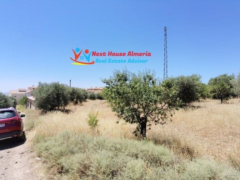 Plot for Sale in Oria, Almeria 3