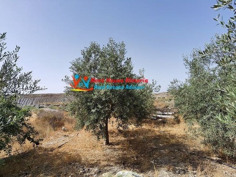 Country House for Sale in Huércal-overa, Almeria 44