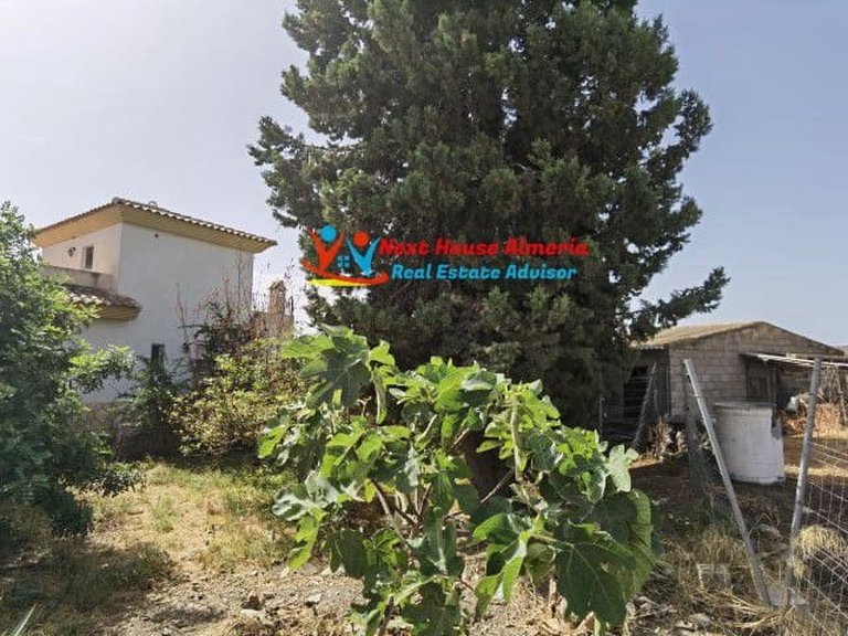 Country House for Sale in Huércal-overa, Almeria 81