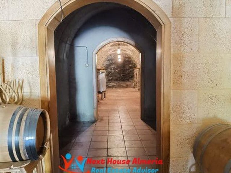 Country House for Sale in Las Tres Villas, Almeria 16