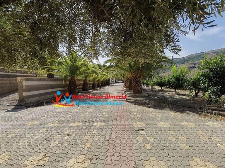 Country House for Sale in Las Tres Villas, Almeria 22