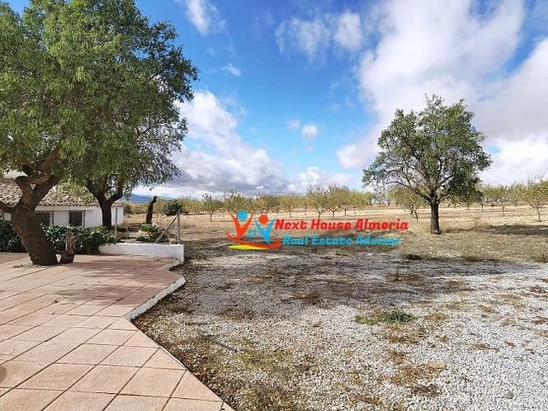 Country House for Sale in Cúllar, Granada 7
