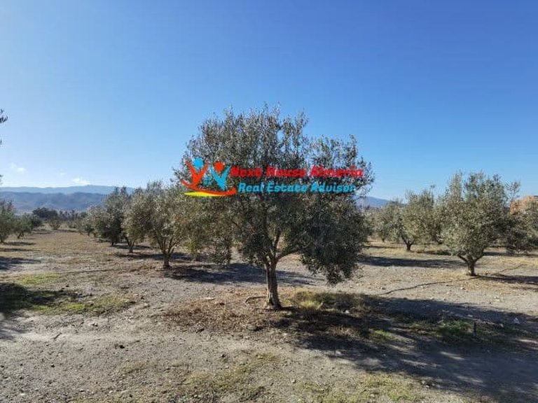Country House for Sale in Tabernas, Almeria 7
