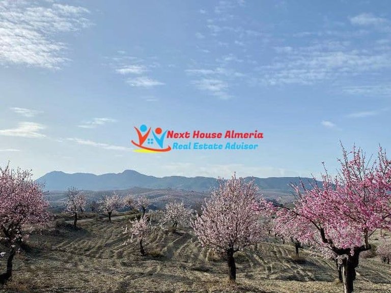 Country House for Sale in Taberno, Almeria 70